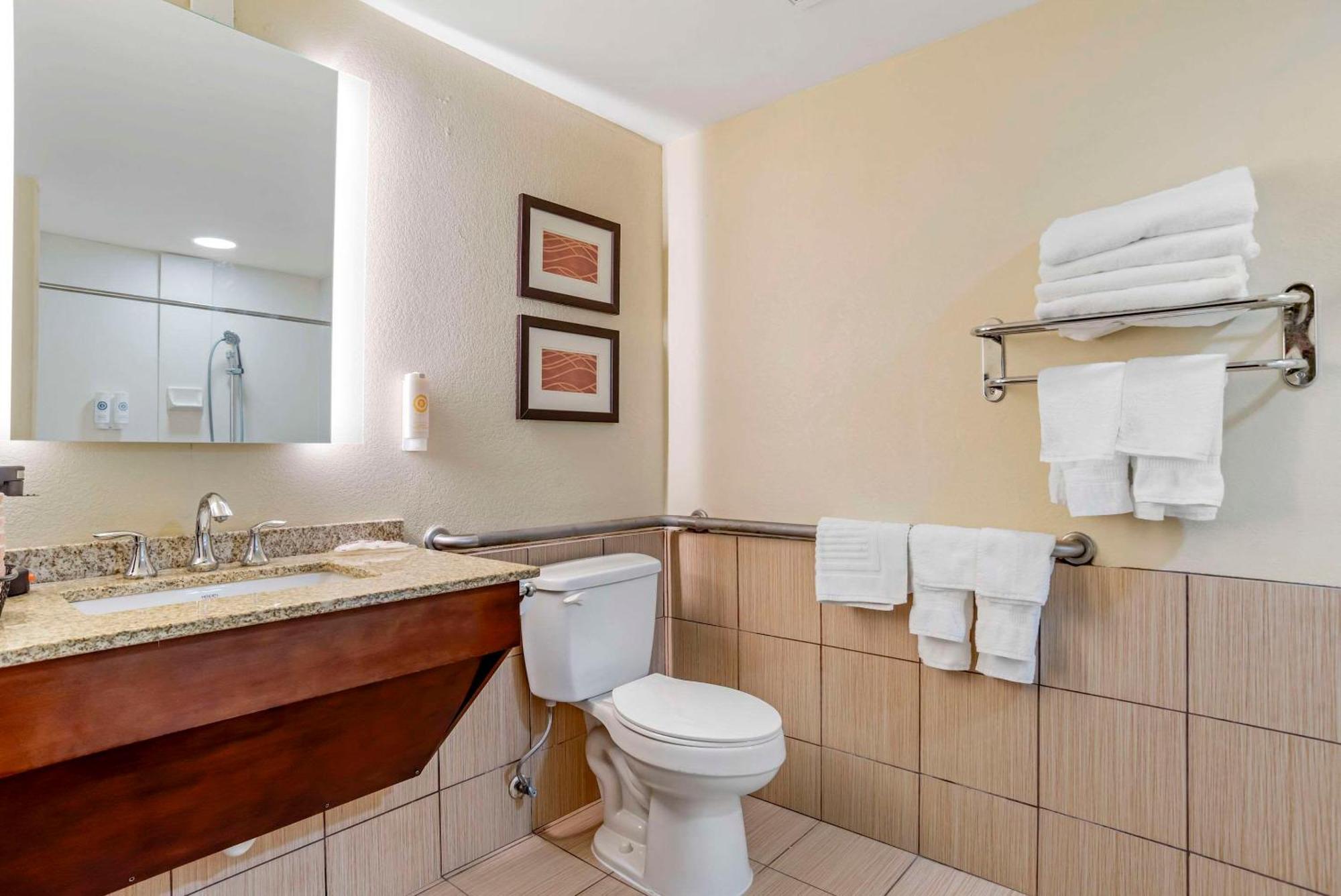 Comfort Inn Opelika - Auburn Εξωτερικό φωτογραφία