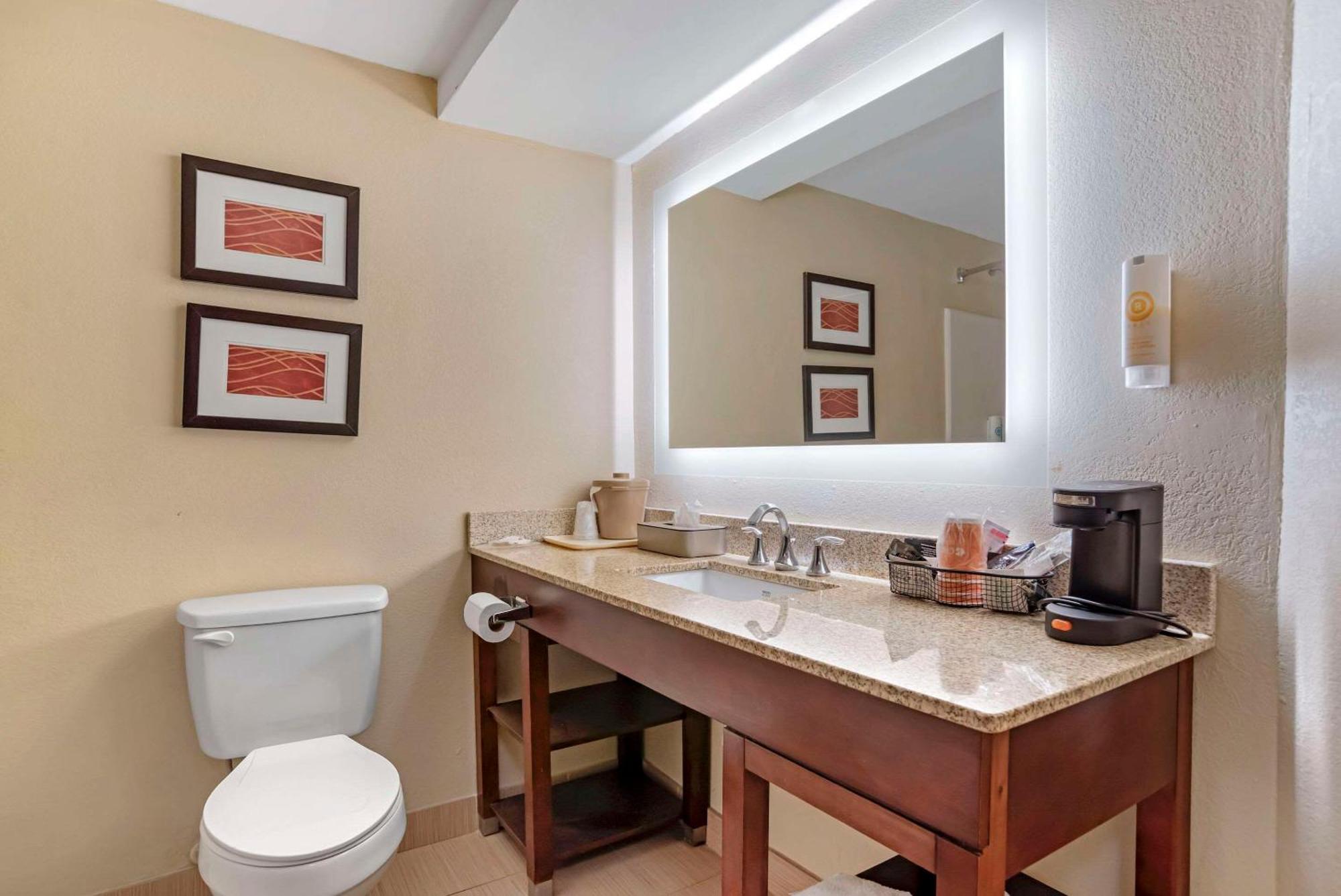 Comfort Inn Opelika - Auburn Εξωτερικό φωτογραφία