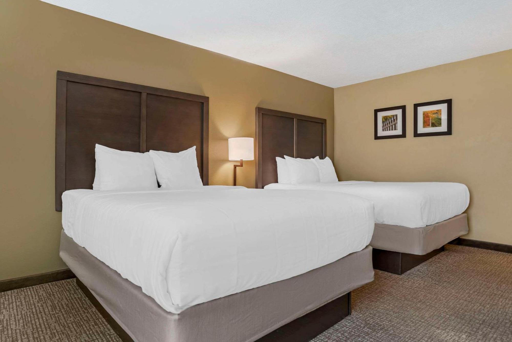 Comfort Inn Opelika - Auburn Εξωτερικό φωτογραφία